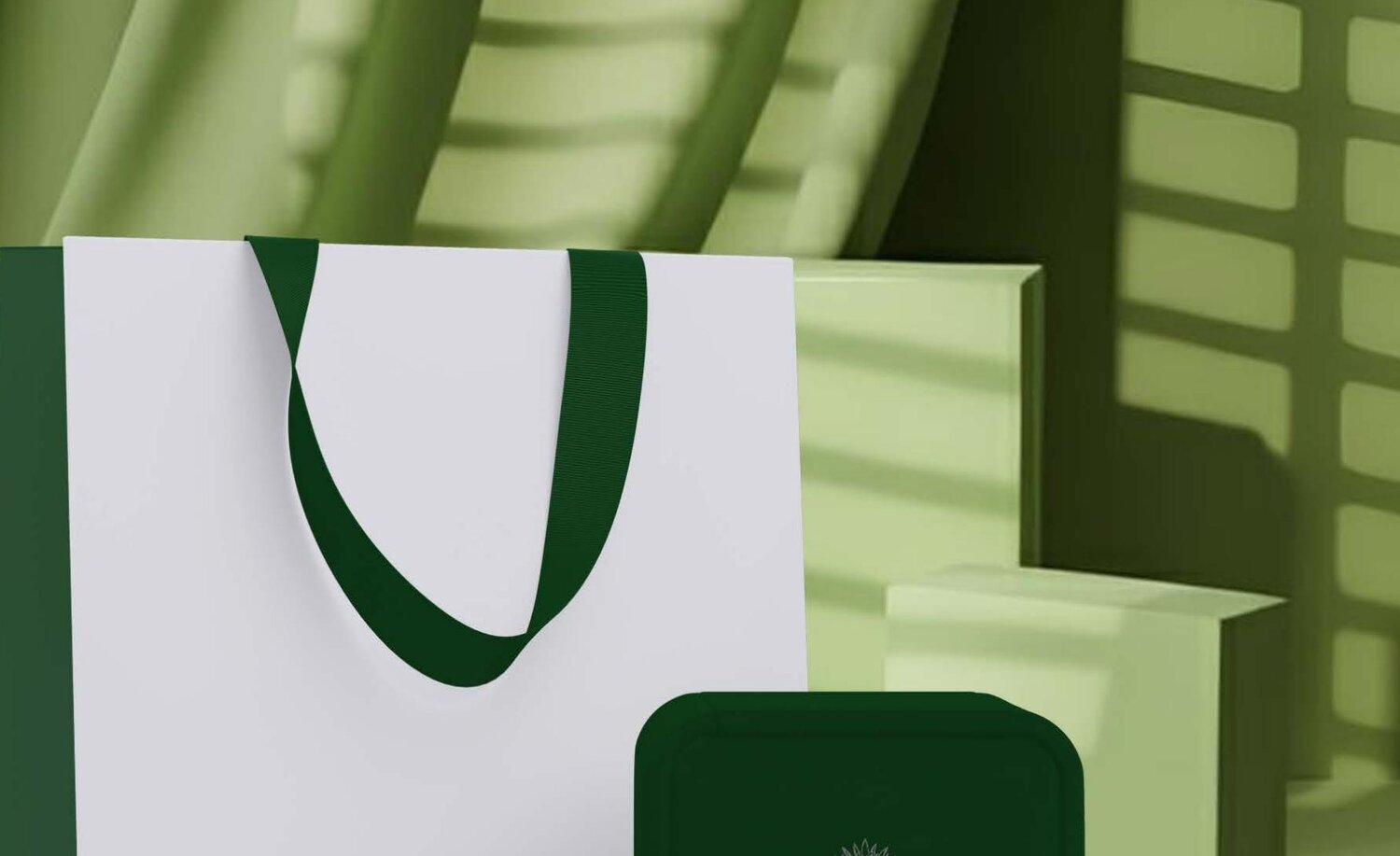 House of Ameyaa shopping bag and presentation box in green and ivory