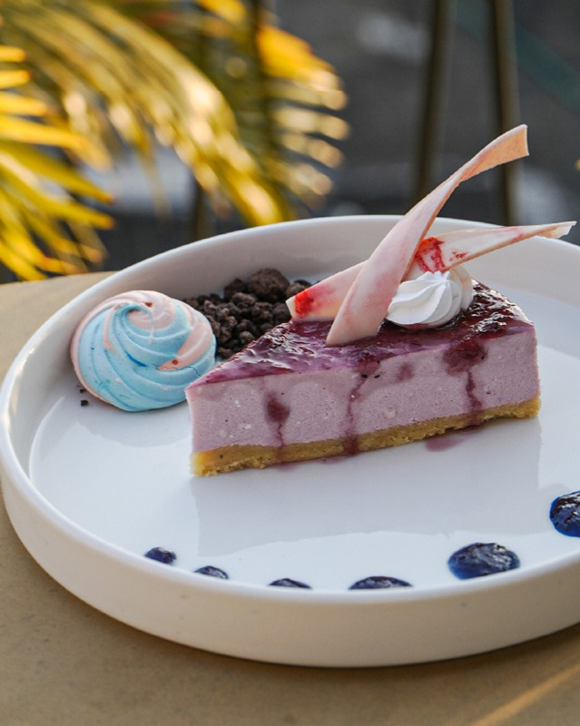 Blueberry cheesecake dessert